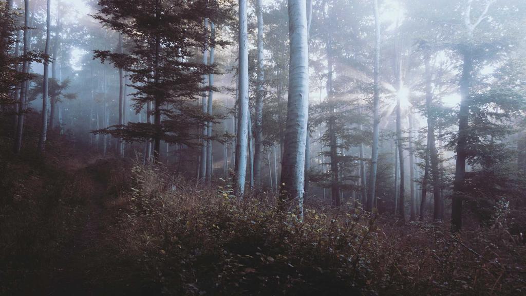 敏感肌&混合肌必看！科学选面霜+分区护理全攻略