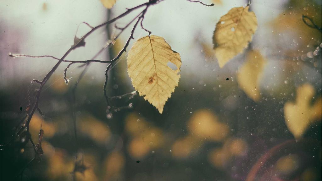 敏感肌护理全攻略：眼霜、卸妆与虾青素的科学搭配