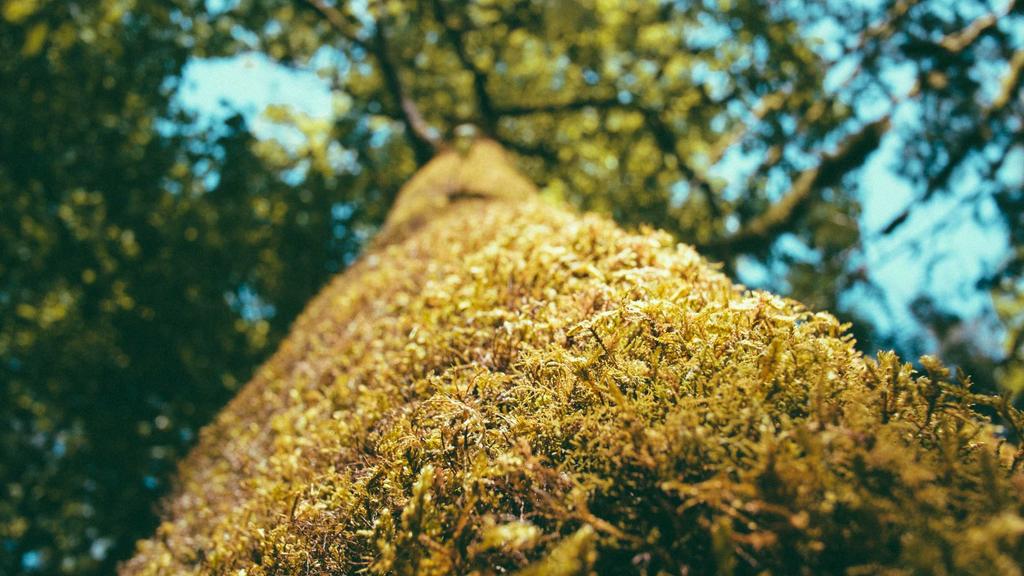 熬夜肌自救指南：果酸焕肤+烟酰胺，科学护肤双管齐下