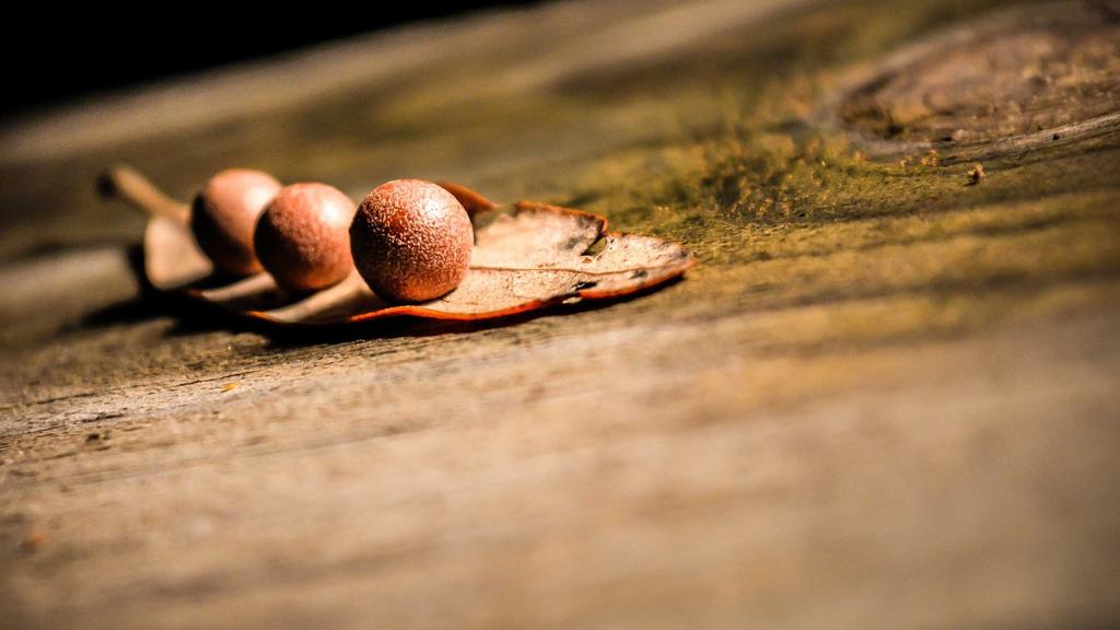 保湿黑科技实测：玻尿酸+胶原蛋白双效合一效果如何？