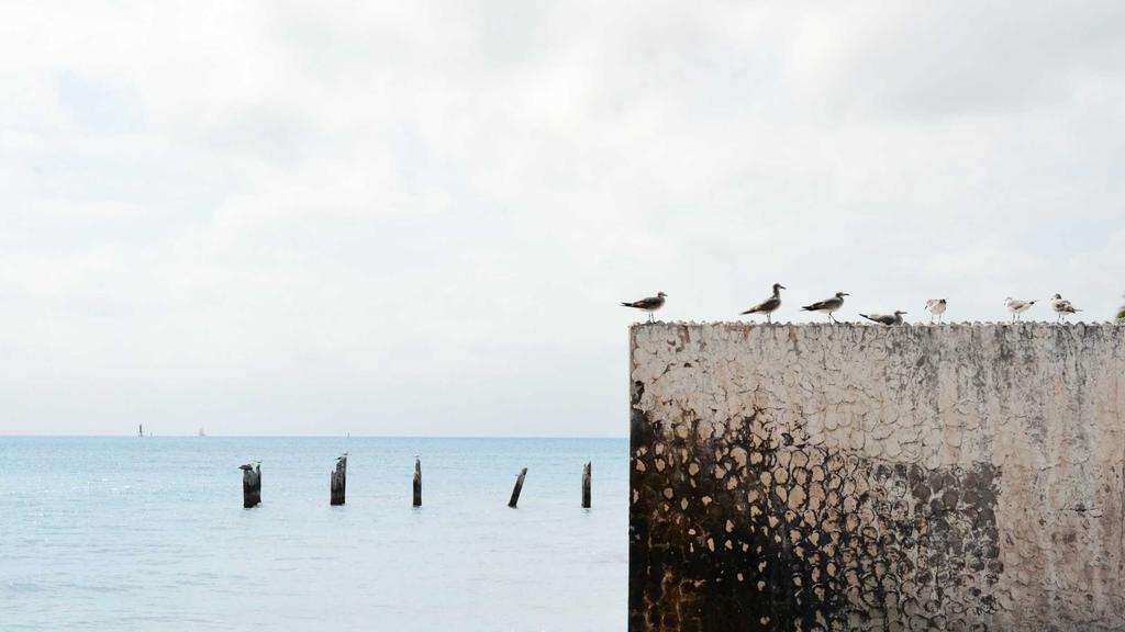 红血丝修复全攻略：胶原蛋白+科学护肤，搭配爽肤水推荐