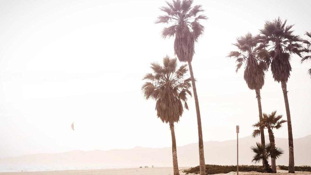 敏感肌自救指南：科学护理+产品推荐，告别泛红刺痛！