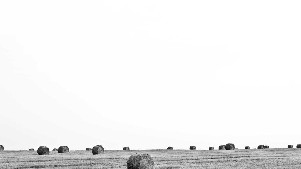 干性肌肤救星！年度洁面乳&身体乳深度评测指南