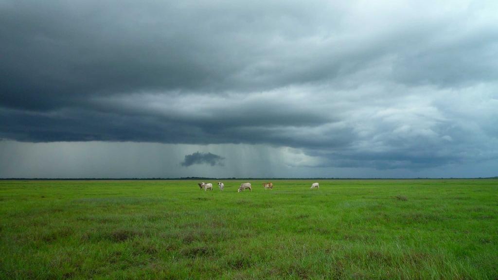 防晒+刷酸全攻略：水杨酸壬二酸搭配防晒霜推荐指南