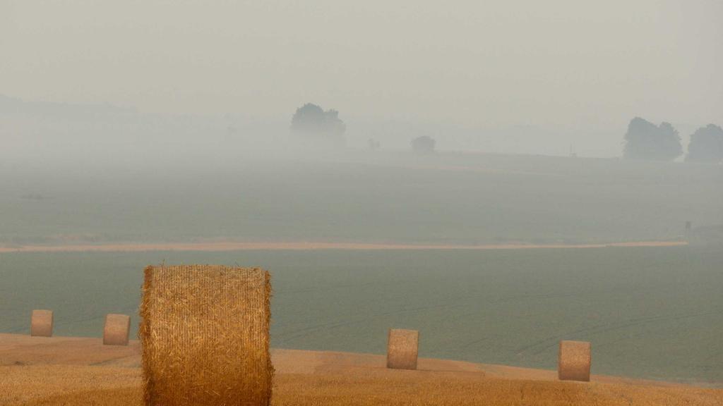 美白+收毛孔双效攻略：果酸焕肤的科学用法与避坑指南