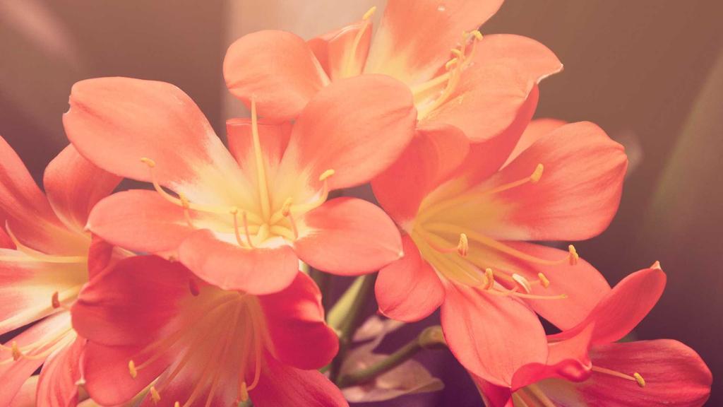 干性肌必看！3大精华成分科学淡法令纹攻略