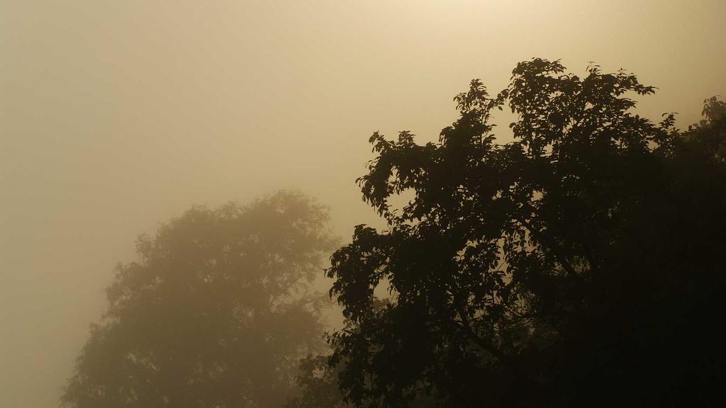 抗衰老全攻略：清洁+提亮+眼周护理，三步逆转时光痕迹