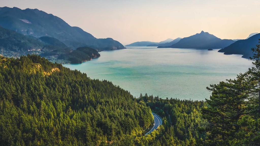 混合肌救星！虾青素面霜如何实现水油平衡与抗氧双赢？