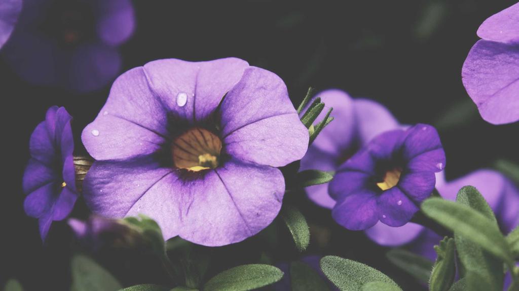 抗衰老新思路：医美术后修复+学生党平价护肤指南