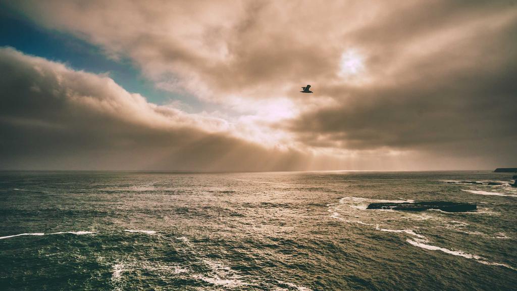 混合肌抗衰秘籍：精华液+防晒喷雾双效锁龄指南