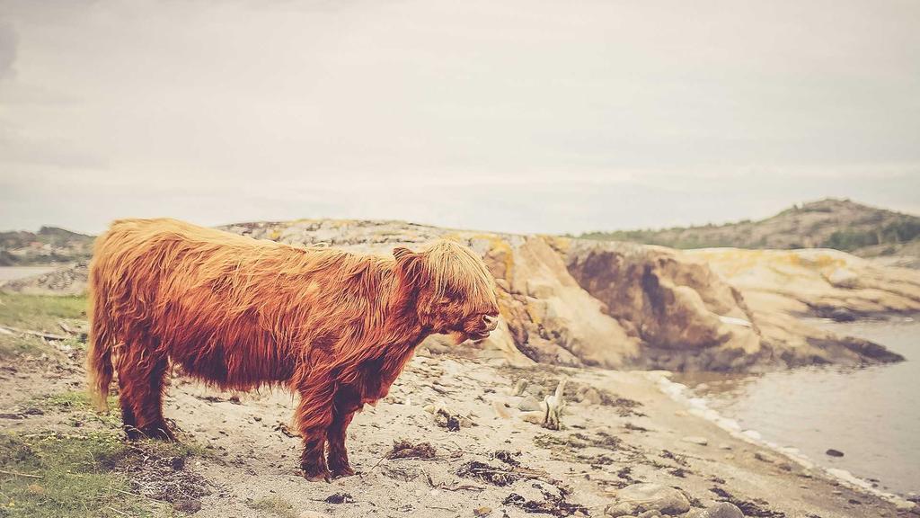 抗衰老全攻略：医美术后修复+科学护肤+告别暗沉