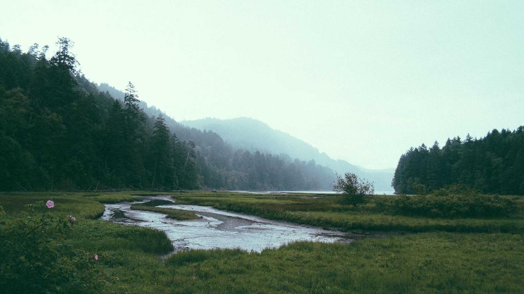 分肤定制面膜攻略：油皮&干皮如何选对护肤成分？