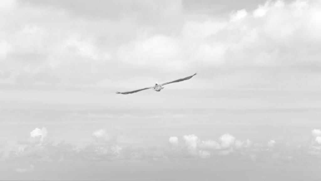 学生党必看！平价护肤成分解析+面膜&卸妆产品清单