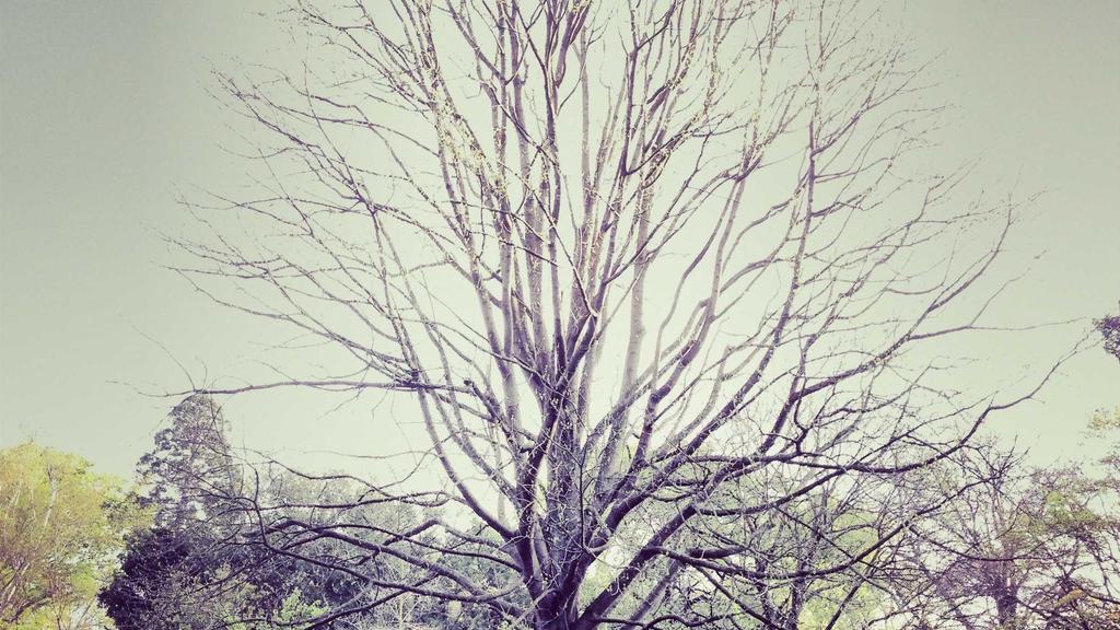 科学护肤三步走：痘痘肌自救+屏障修复全攻略