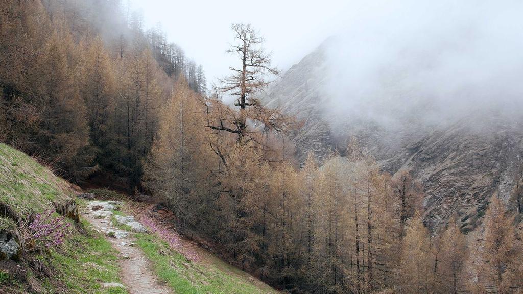 抗衰老三步走：卸妆、精华与法令纹淡化全攻略