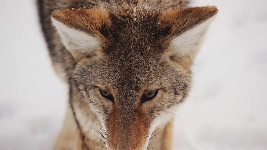 科学护肤三步走：玻尿酸补水+水杨酸焕肤+面膜急救全攻略