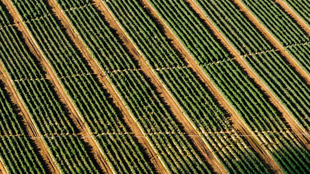 干性肌美白淡斑全攻略：眼霜排行+科学护肤技巧