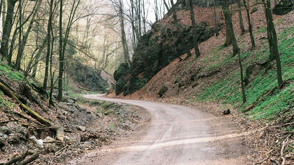 补水+维C+虾青素：解锁肌肤年轻态的黄金组合