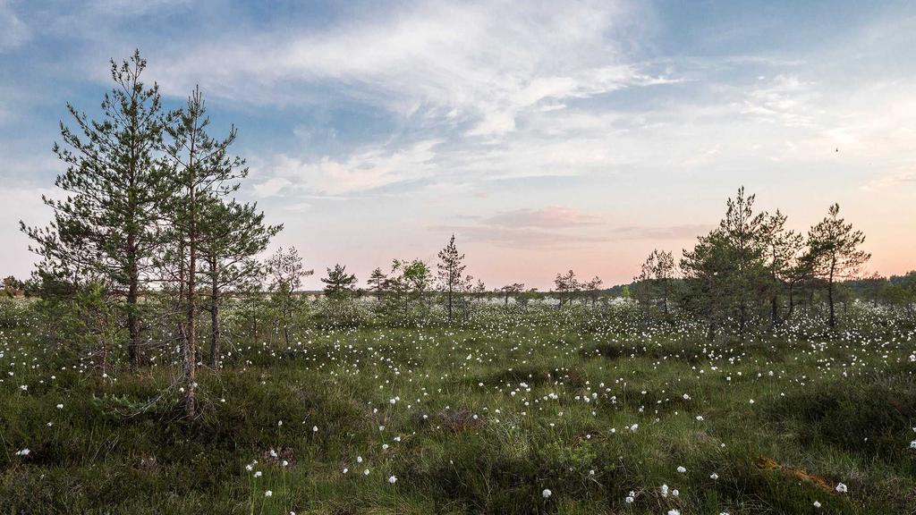 秋冬抗老攻略：温和洁面+安全护肤，孕妇也能逆龄生长