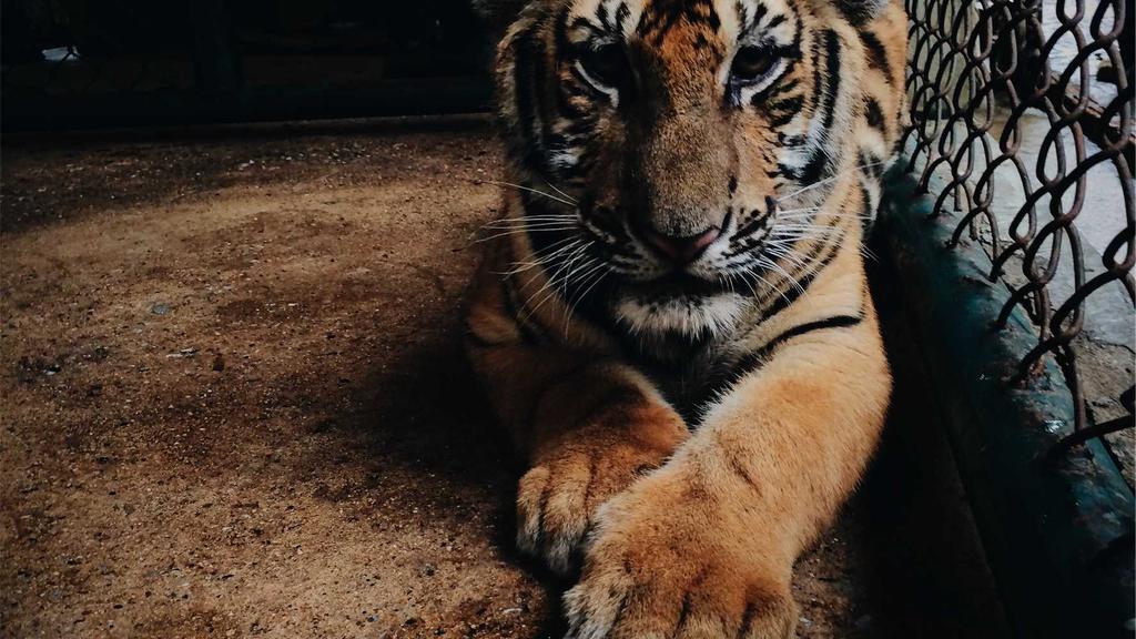 红血丝/法令纹/痘痘肌自救指南：科学修复+精准护理全攻略