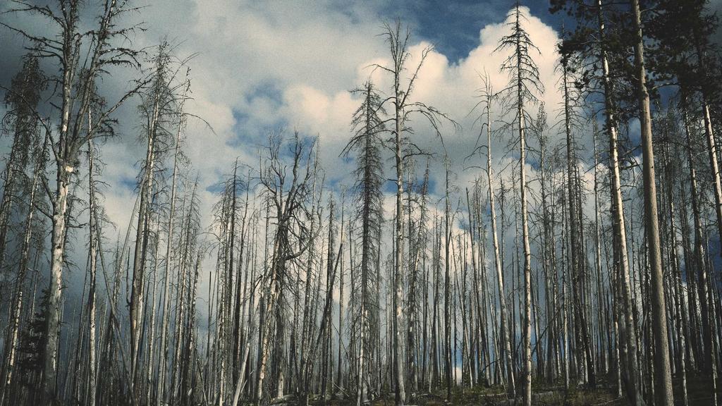 补水+胶原蛋白双管齐下：科学淡化法令纹的黄金法则