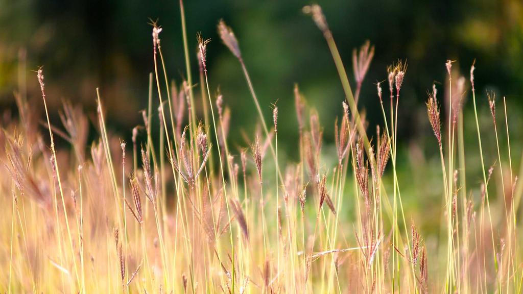 医美术后修复+夏季防晒：双管齐下激活胶原蛋白再生力
