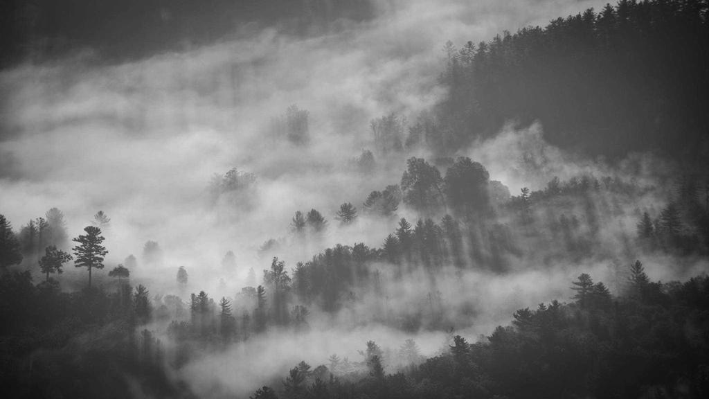 干性肌肤必看！水杨酸清洁指南：温和焕肤不伤屏障