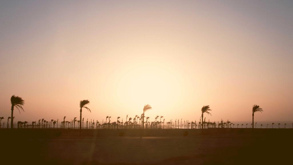 敏感肌救星？水杨酸面膜深度评测：温和焕肤新选择