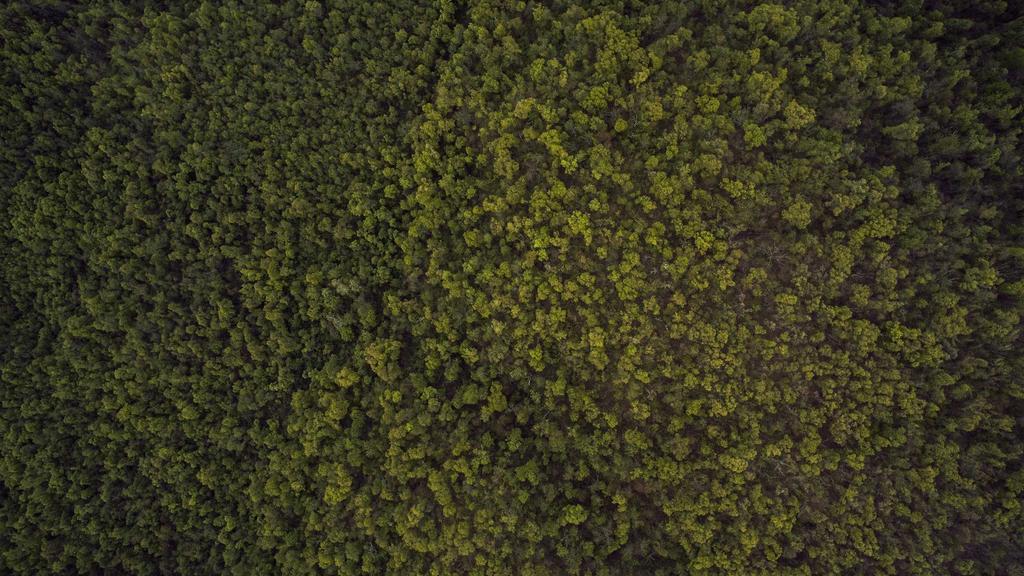 熬夜肌抗老指南：维生素C+3大黄金成分，拯救垮脸暗沉