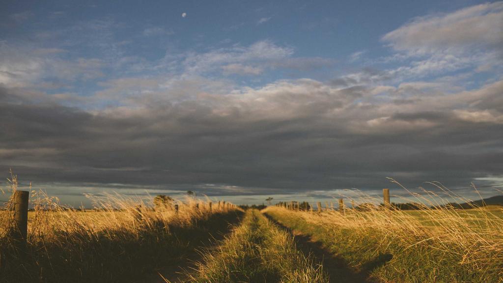 敏感肌自救指南：科学修复+温和护肤全攻略