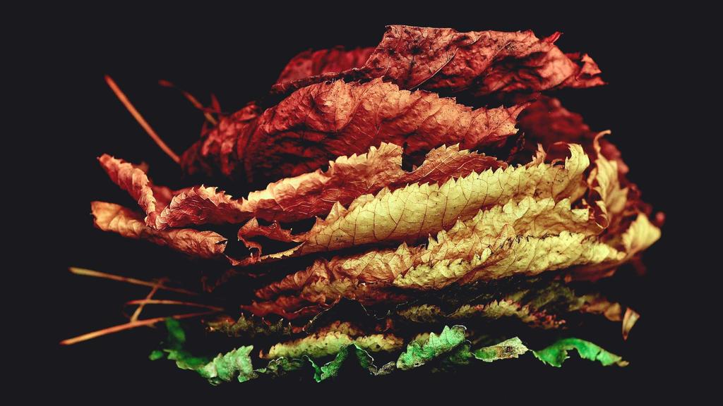 油痘肌自救指南：熬夜党必看的科学护肤公式