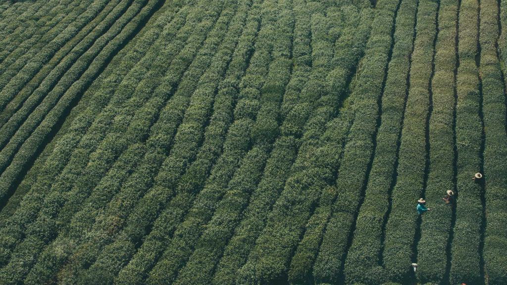 敏感肌自救指南：温和卸妆+胶原修护+医美术后黄金护理