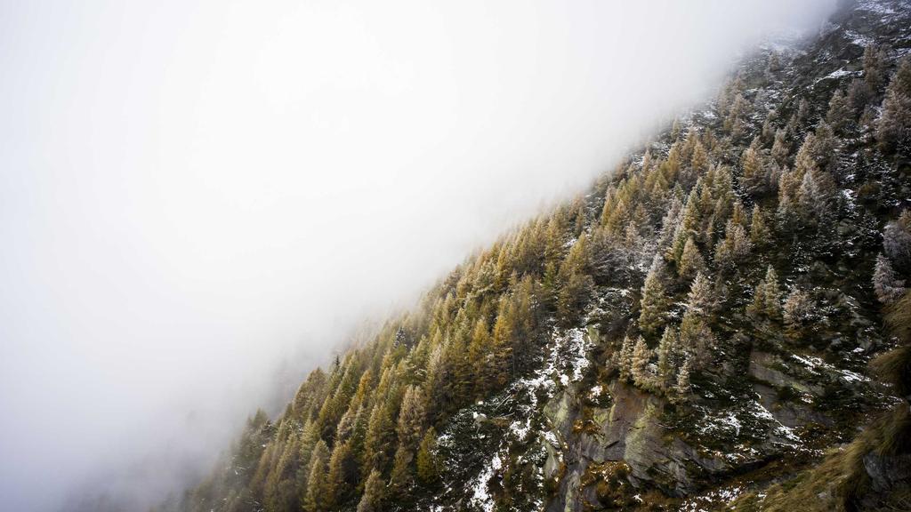 敏感肌自救指南：干皮精华+美容仪，科学修护屏障