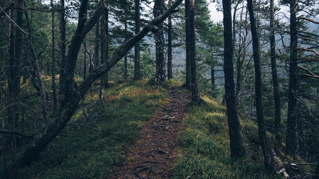 敏感肌必看！防晒+补水保湿全攻略，科学修护屏障