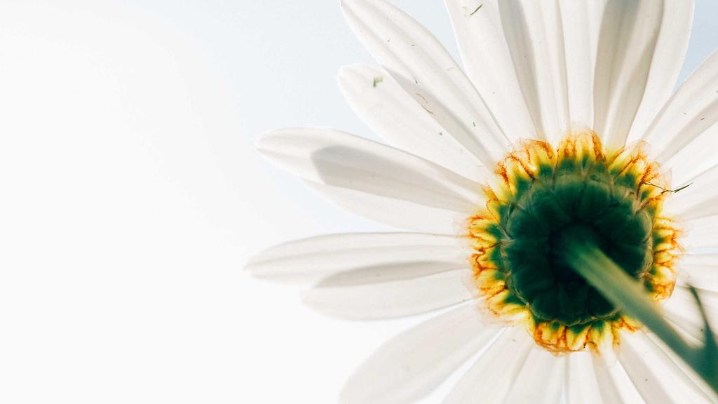 换季护肤必看！虾青素抗氧+积雪草修护，双效守护敏感肌