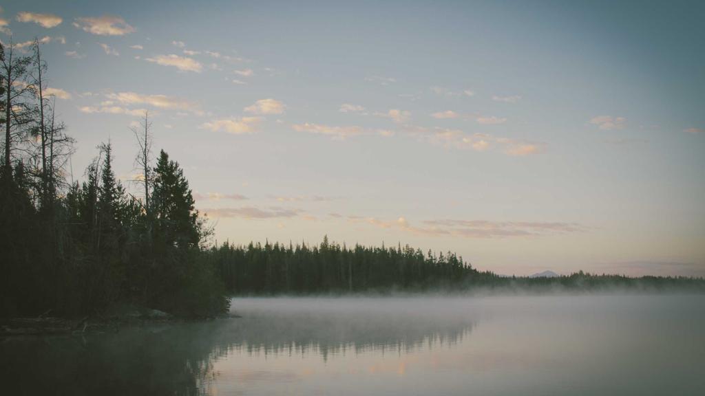 百元内解锁「角鲨烷」护肤公式！平价好物+科学用法全攻略