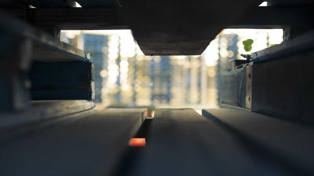 水杨酸美白祛痘实测：痘痘肌的「焕亮救星」还是智商税？