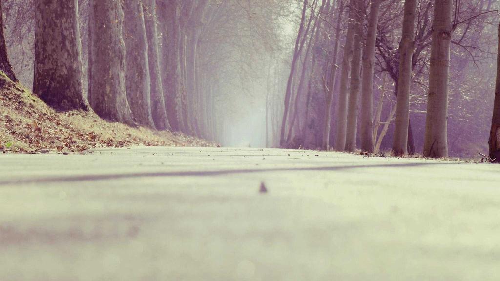 学生党必看！200元内眼霜+护肤技巧，平价也能养出星星眼