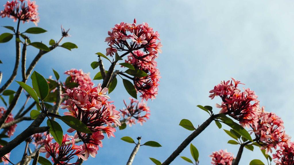 混合肌夏日救星！水杨酸+防晒喷雾实测，控油防晒两不误