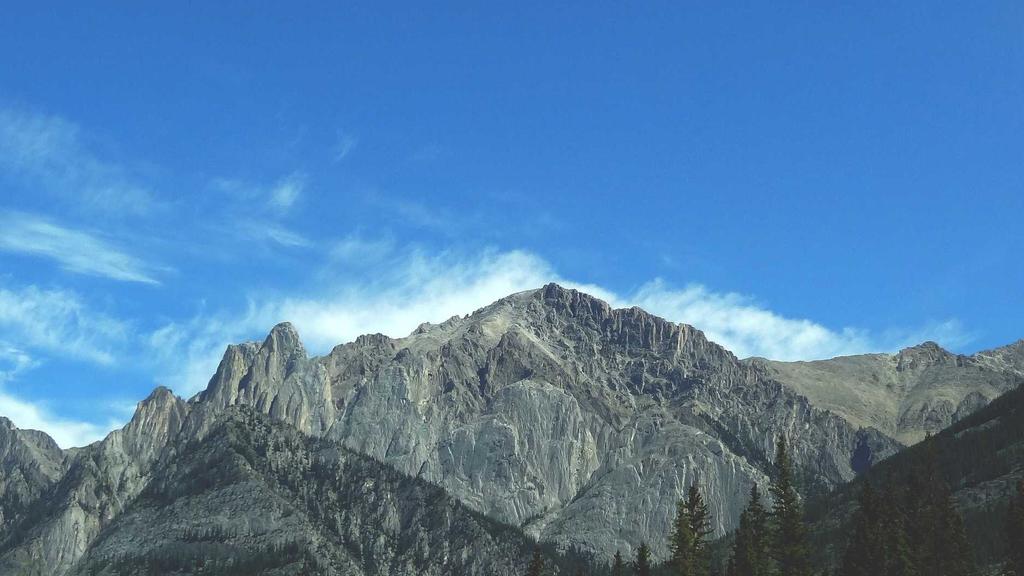 虾青素+积雪草+爽肤水：解锁24小时修护抗氧护肤公式