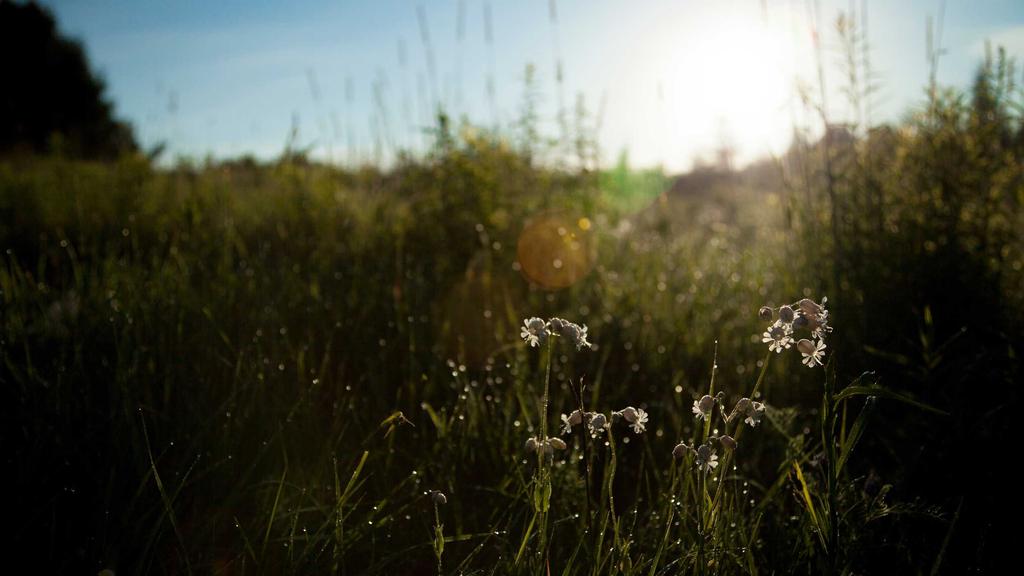 干性肌必看！卸妆产品怎么选？水杨酸能用吗？