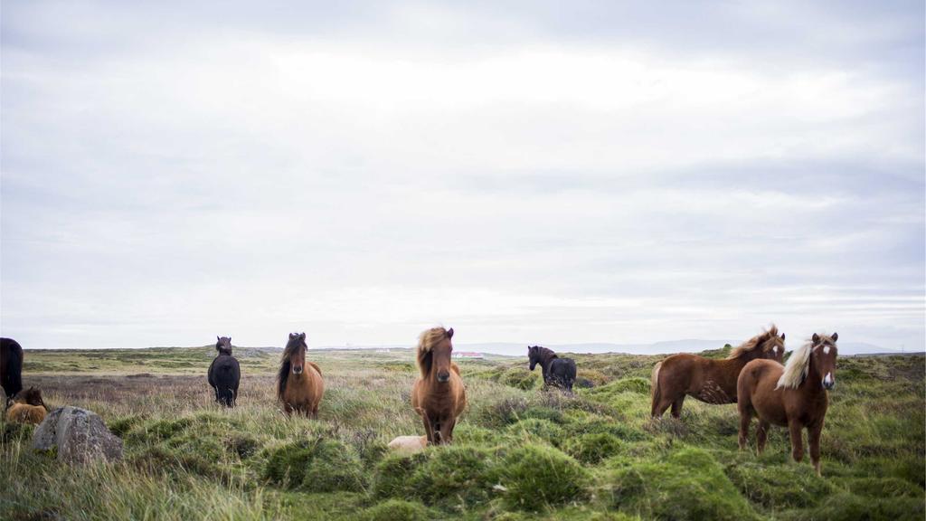 敏感肌抗皱紧致全攻略：温和修护+科学护理指南