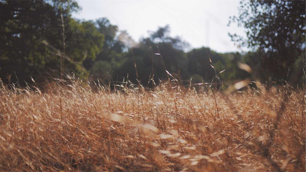 干皮救星+祛痘黑科技：科学解析护肤成分与美容仪搭配指南