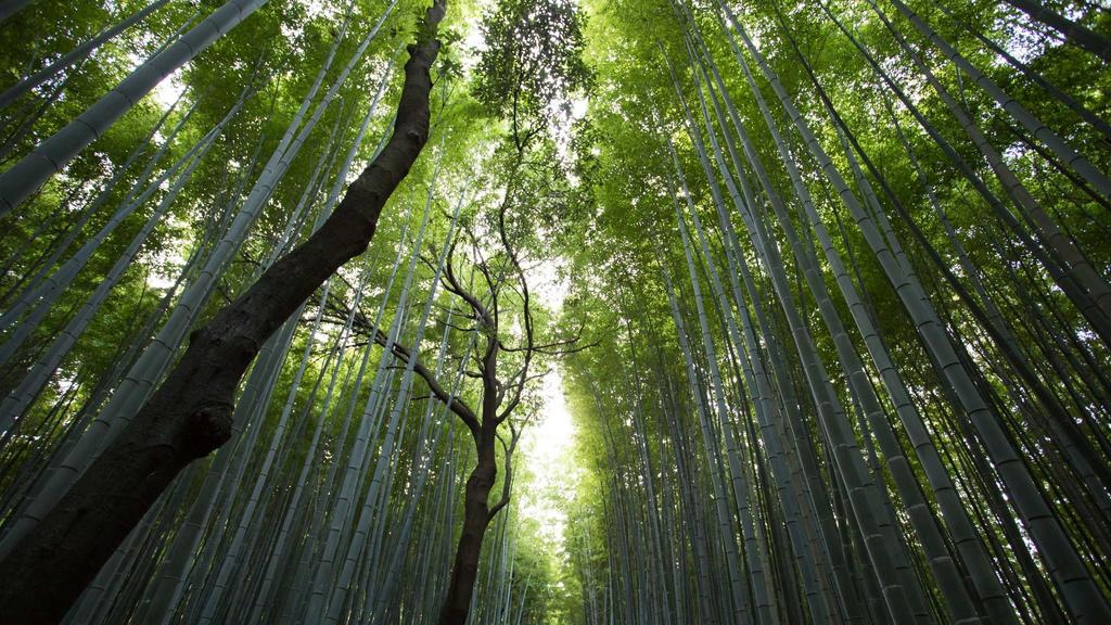 神经酰胺：换季护肤的「屏障守护神」，早晚这样用更高效