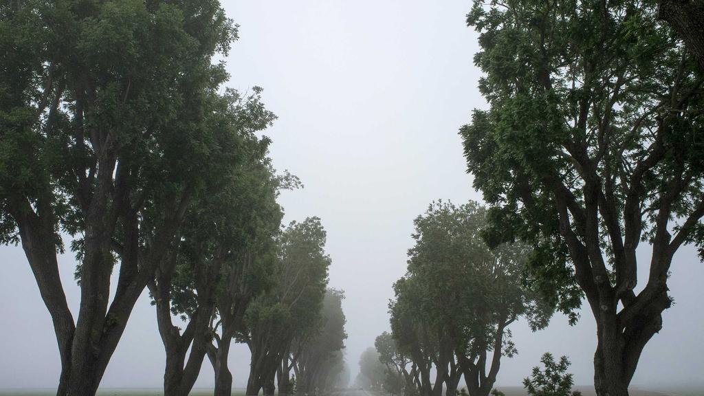敏感肌美白淡斑+眼周护理全攻略：角鲨烷的温和修护之道