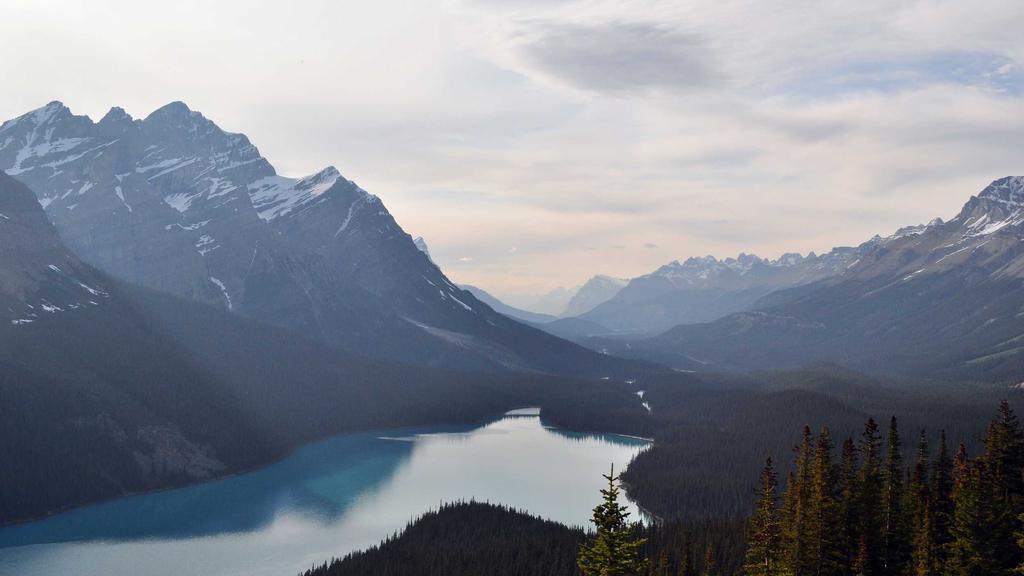 虾青素抗衰新势力：孕妇护肤安全指南+黑头粉刺解决方案