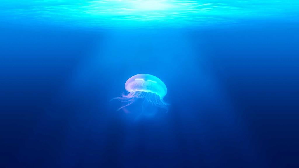 干皮保湿、油皮控油、熬夜急救：分肤质科学护肤指南