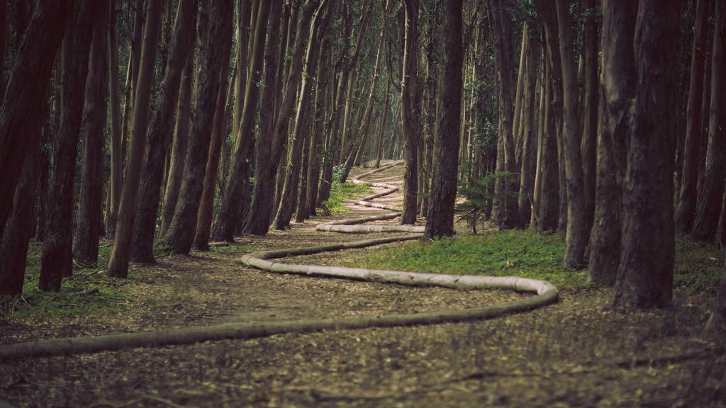 抗衰老全攻略：补水、熬夜修复与科学清洁三管齐下